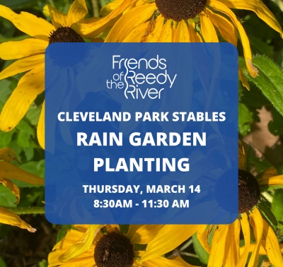 Rain Garden Planting at Cleveland Park Stables