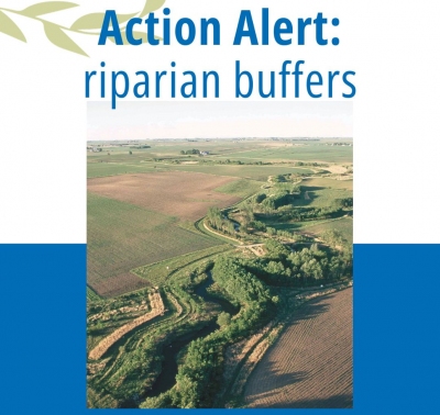 Support Riparian Buffers at Greenville County Council