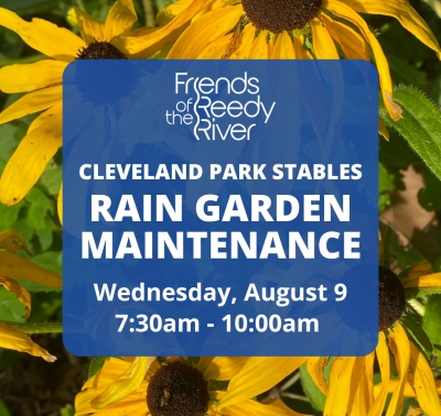 Cleveland Park Stables Invasive Plant Pull