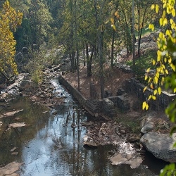 The Reedy River