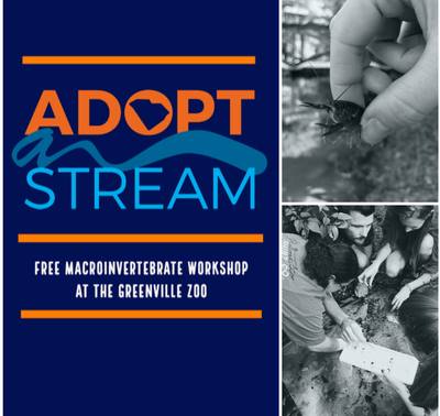 SC Adopt-a-Stream Macroinvertebrate Workshop at the Greenville Zoo