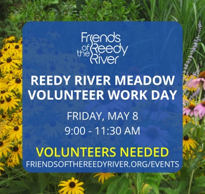 Volunteer Work Day at Reedy River Meadow