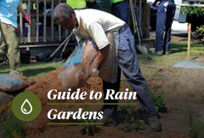 Carolina Rain Garden Initiative
