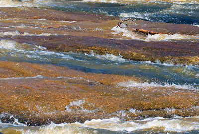 DHEC, Clemson announce SC Adopt a Stream Program