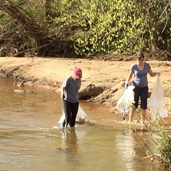 Reedy River Cleanup