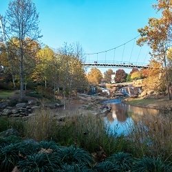 The Reedy River
