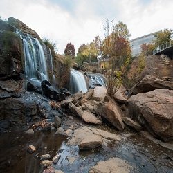 The Reedy River