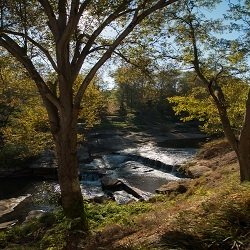 The Reedy River
