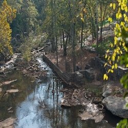 The Reedy River