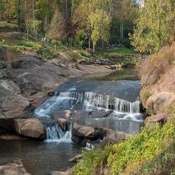 The Reedy River
