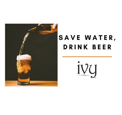 Save Water, Drink Beer