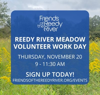 Volunteer Work Day 7 at Reedy River Meadow - Invasive Plant Pull and Mulching