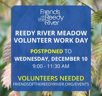 Volunteers Needed! Work Day 9 at Reedy River Meadow - Invasive Plant Pull and Mulching